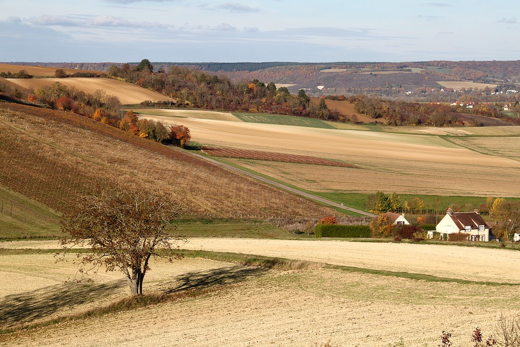 Point de vue préféré sur ma campagne