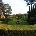 Point de vue sur les buis aux jardins d'Eyrignac 