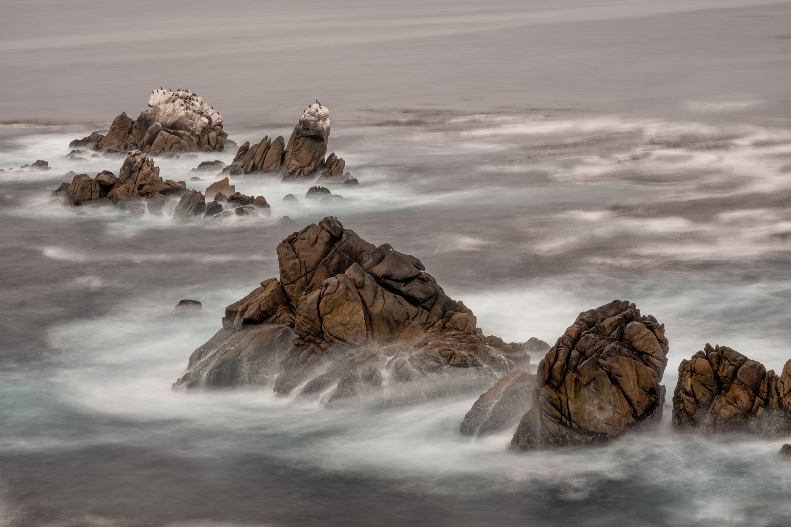 Point Lobos