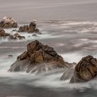 Point Lobos