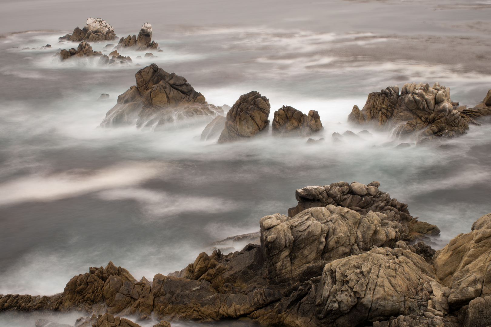 Point Lobos