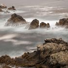 Point Lobos