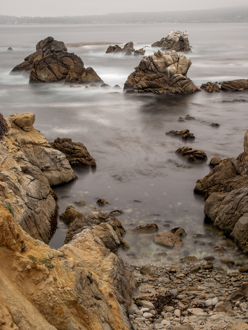 Point Lobos