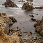 Point Lobos