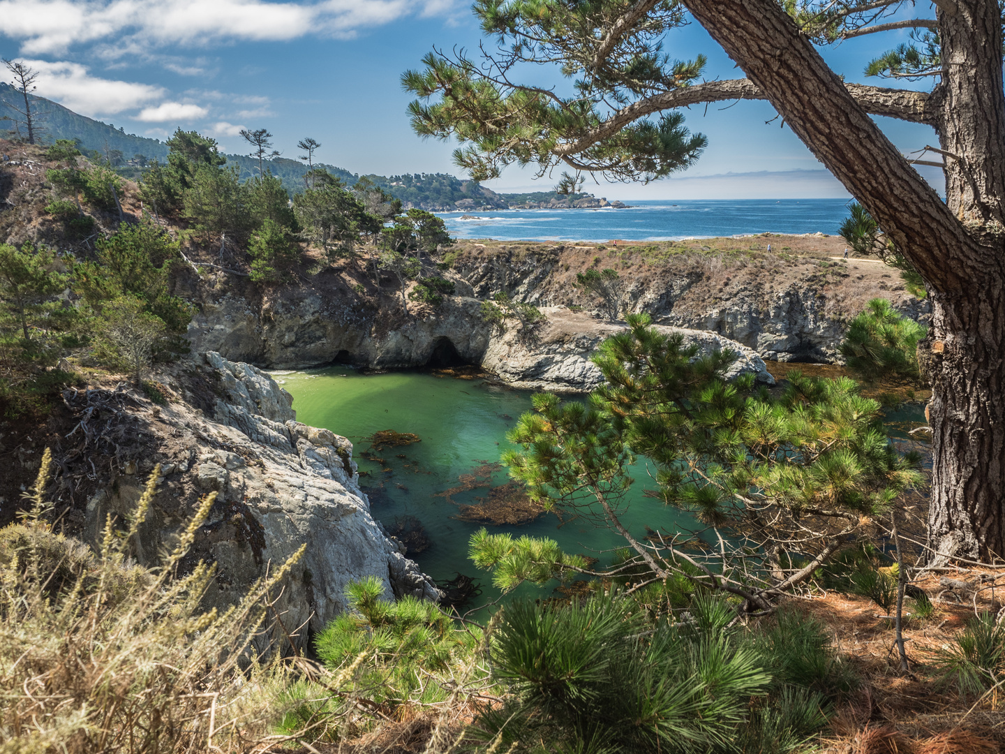 point lobos china beach