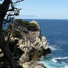 Point Lobos im September