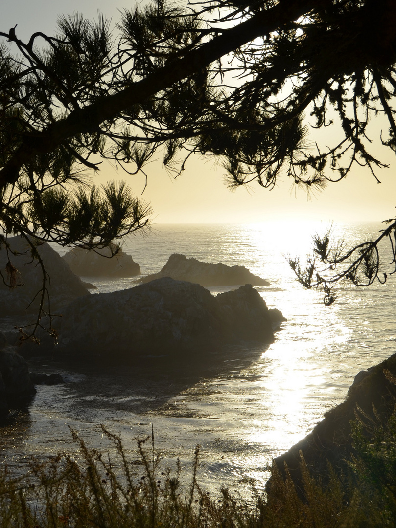 Point Lobos, Kalifornien