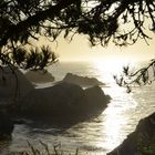 Point Lobos, Kalifornien