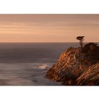 Point Lobos - LTE