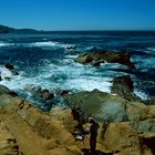 Point Lobos State Natural Reserve, CA - 1990