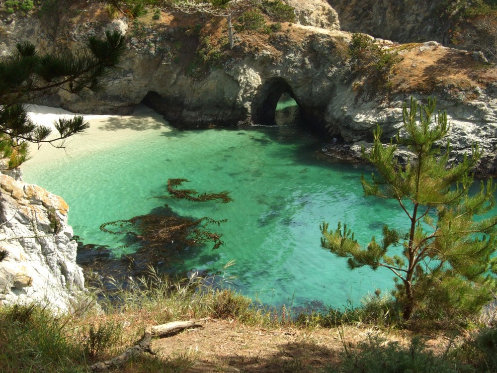 Point Lobos State Reserve, CA