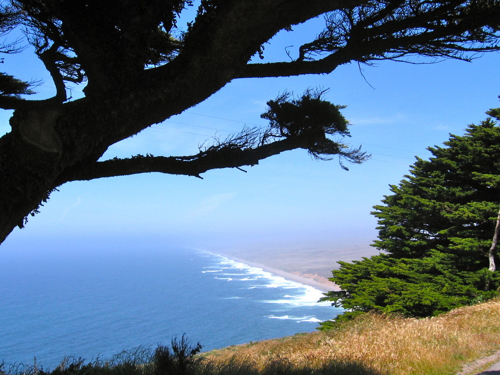 Point Reyes