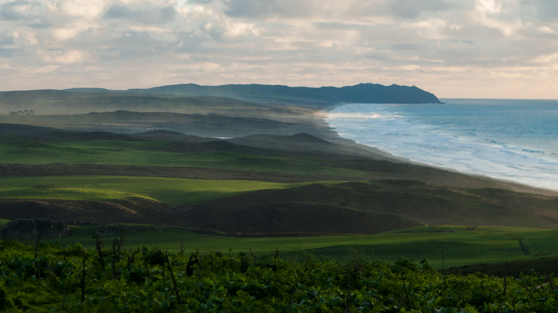 Point Reyes