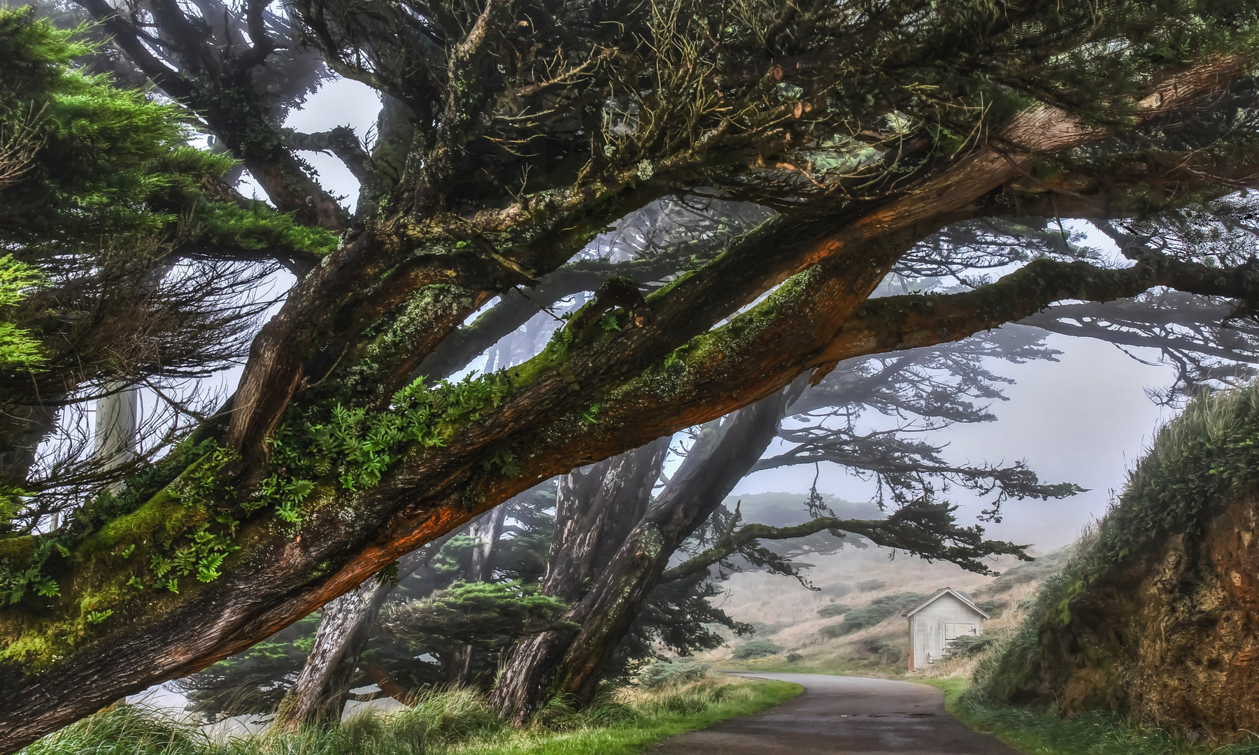 Point Reyes