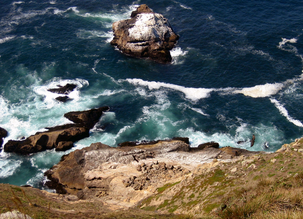 Point Reyes, California