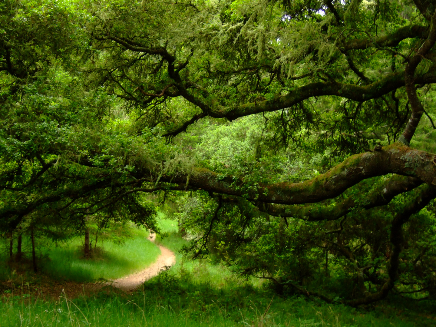 Point Reyes National Seashore