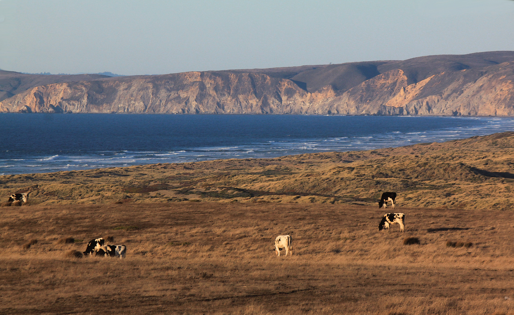 Point Reyes Visions II