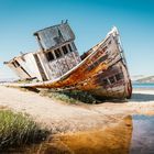 Point Reyes Wrack