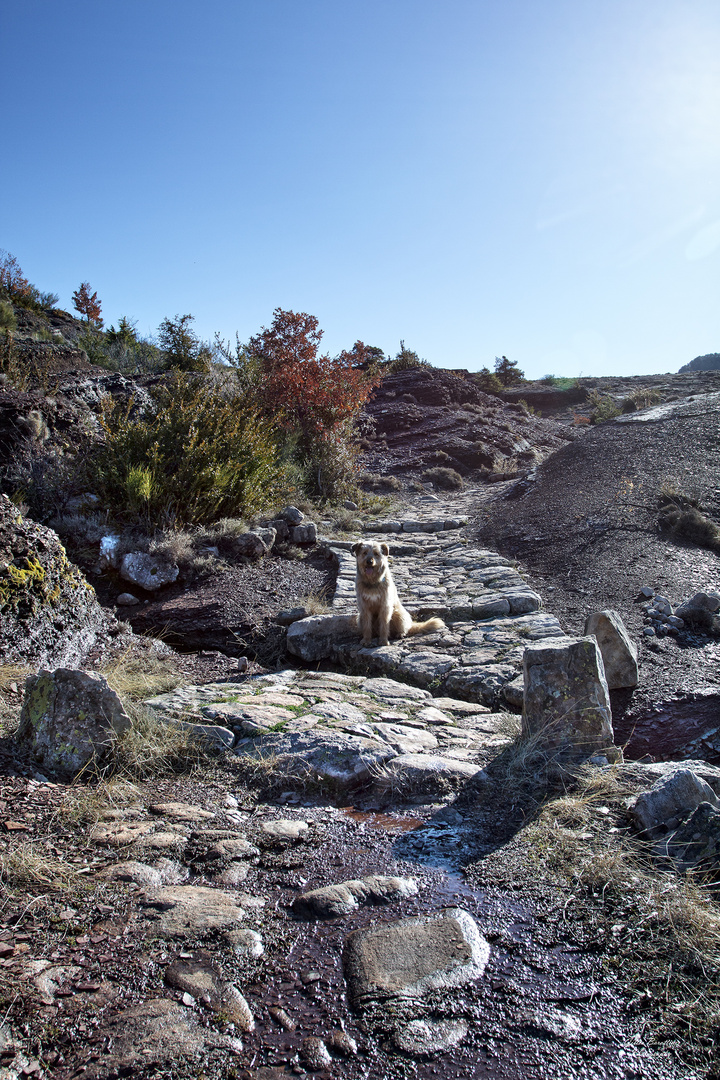 Point sublime, gorges de Daluis 3