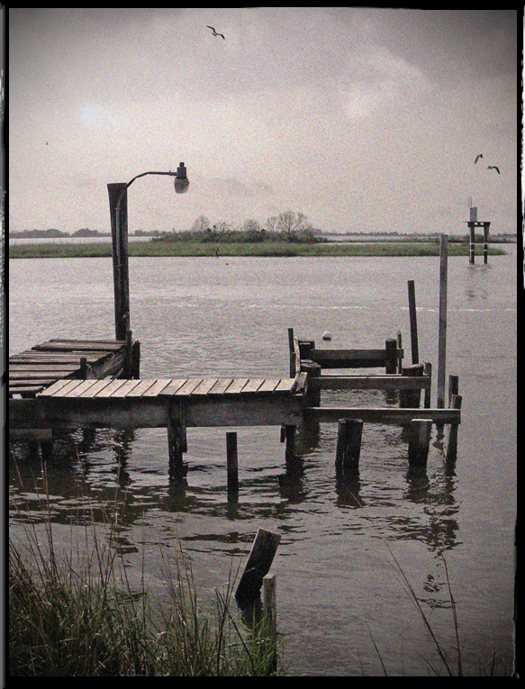 PointeauxChenes III Vergänglichkeit Foto & Bild emotionen, leise