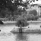 Pointe de l'île de la cité un dimanche après-midi