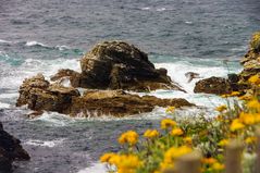 Pointe des Poulains