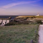 Pointe des poulains le phare et le fortin de Sarah Bernardt