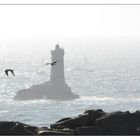 Pointe du Raz