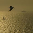 Pointe du Raz