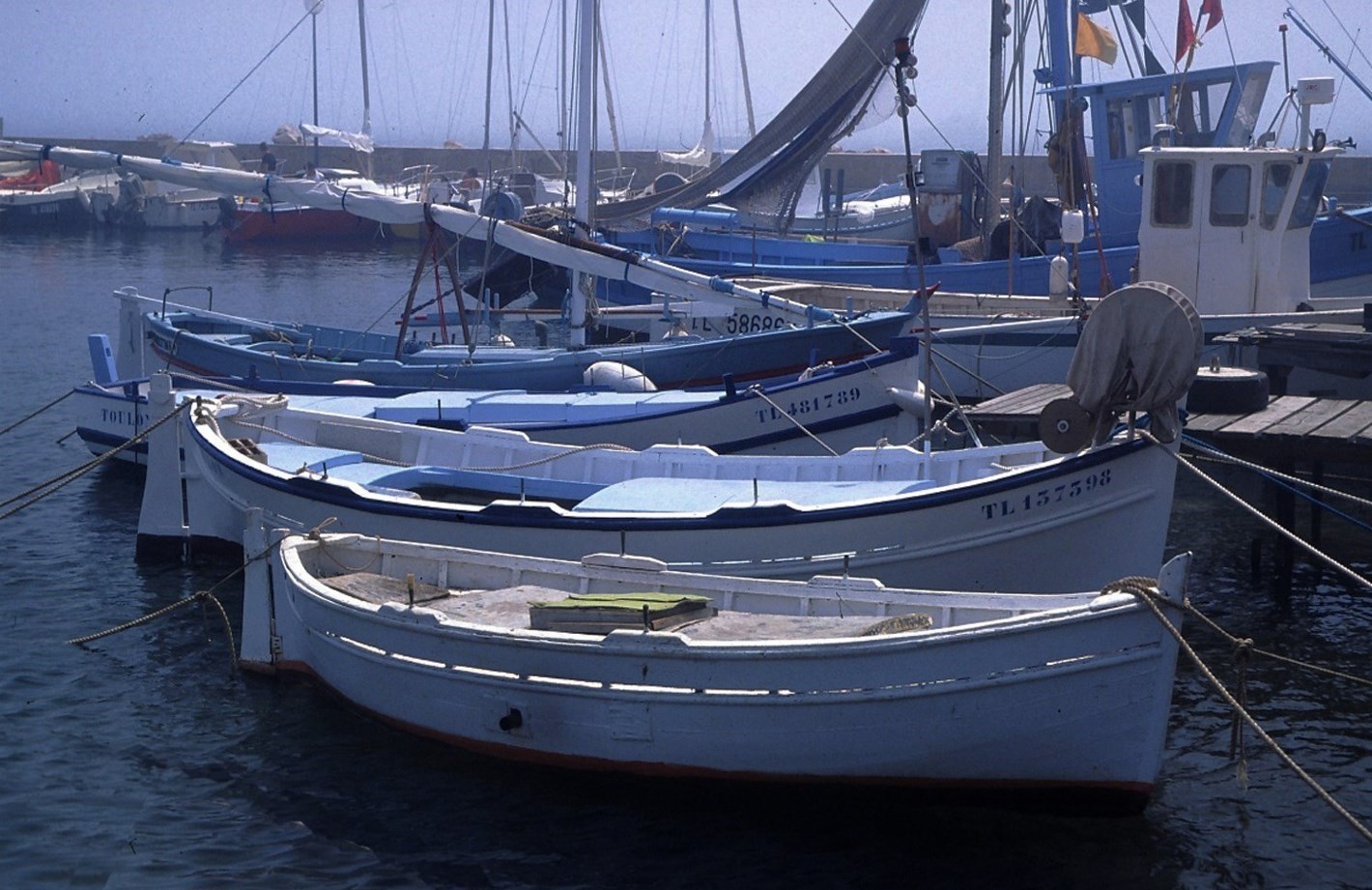 POINTUS AUX SALINS D'HYERES PHOTO DE BASE