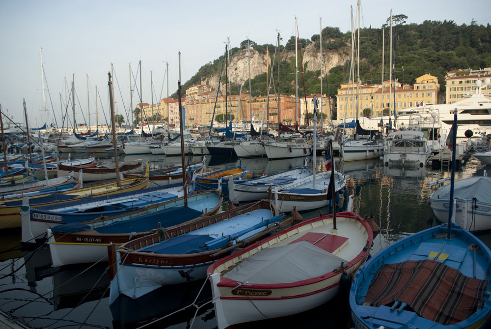 Pointus dans le port de Nice