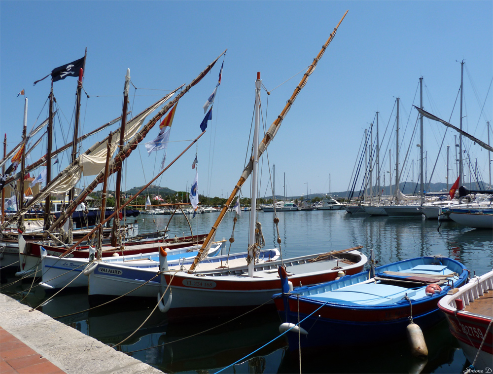  Pointus  et voiles  latines photo et image paysages 