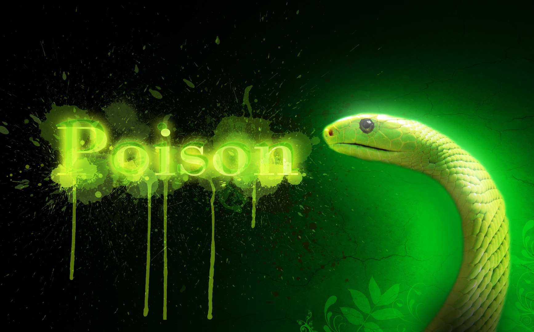 Poison