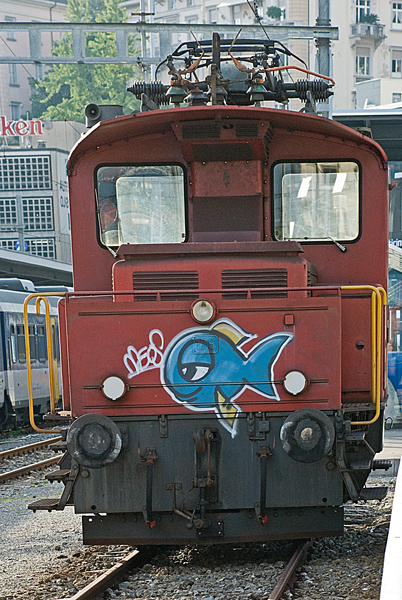 poisson en train de frayer