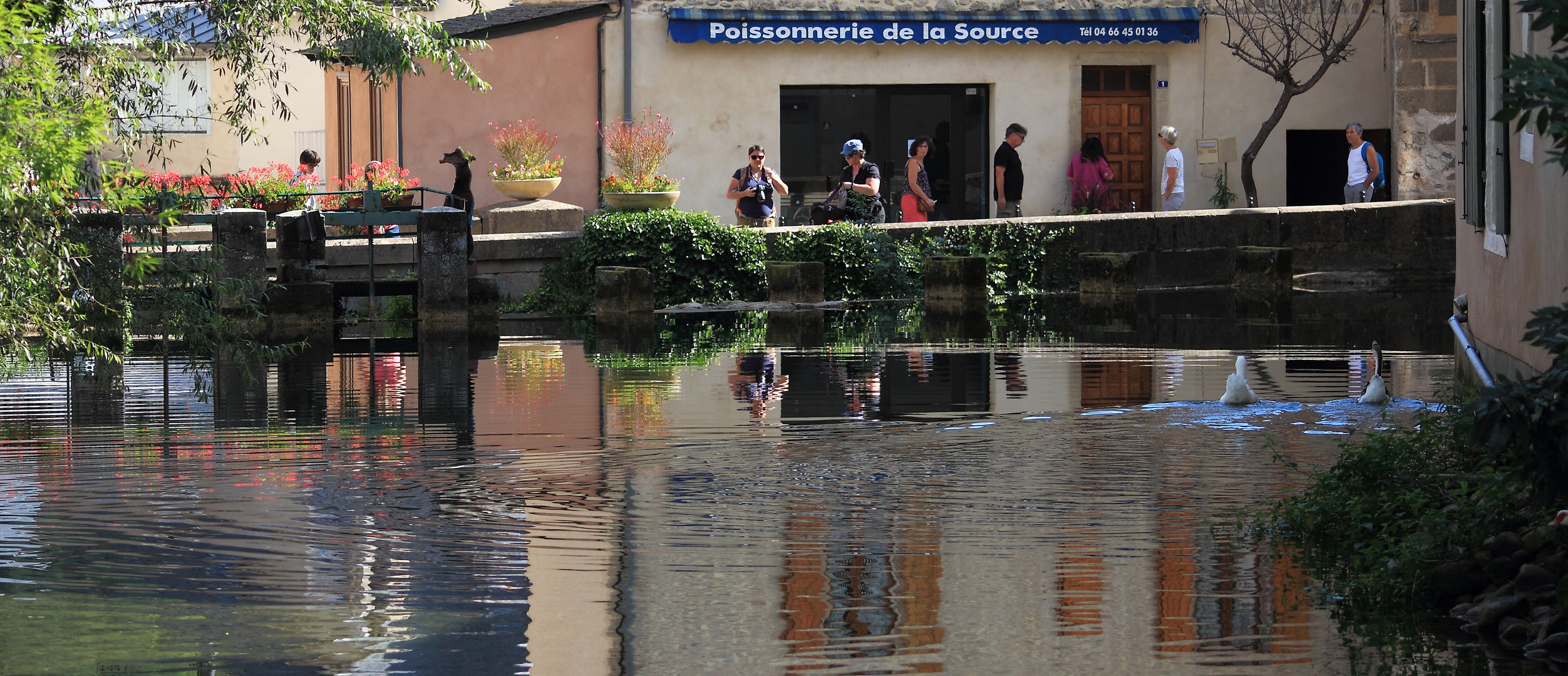 POISSONNERIE DE LA SOURCE