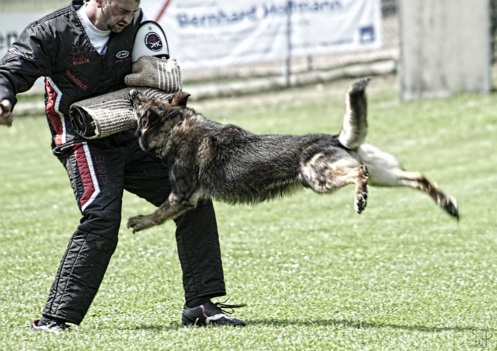 Pokalwettkampf Forst 2012 Teil 2