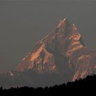 Pokhara Die Berge sind schön