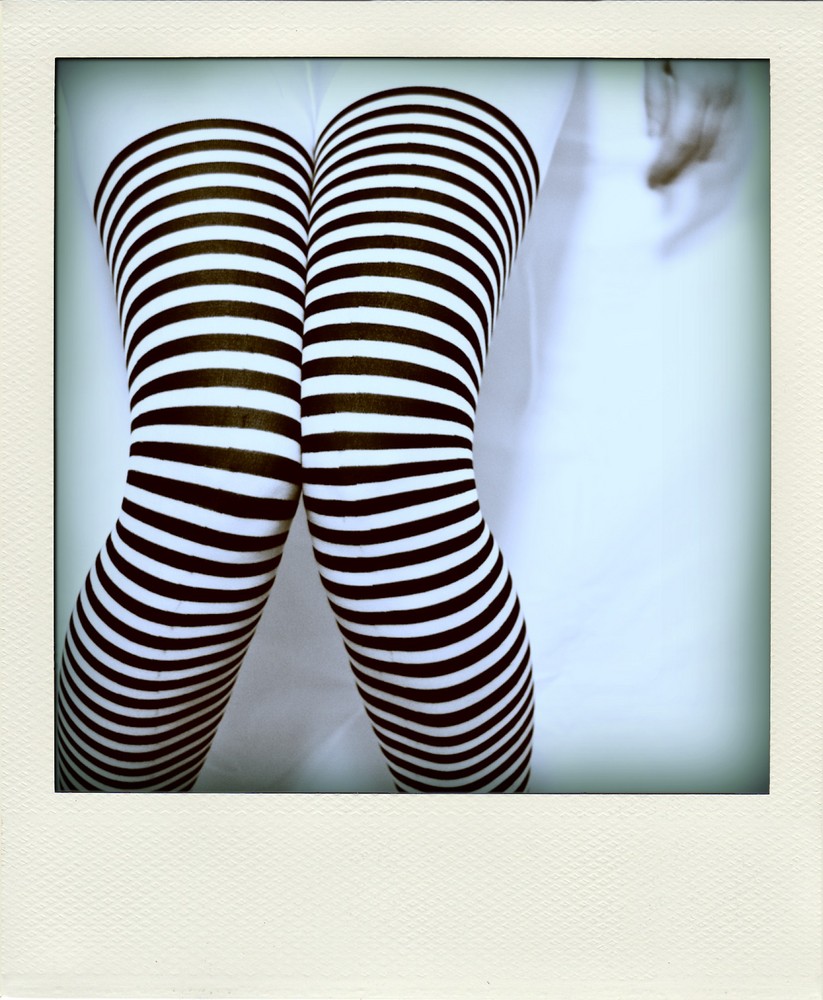 [ pola-stripes ]