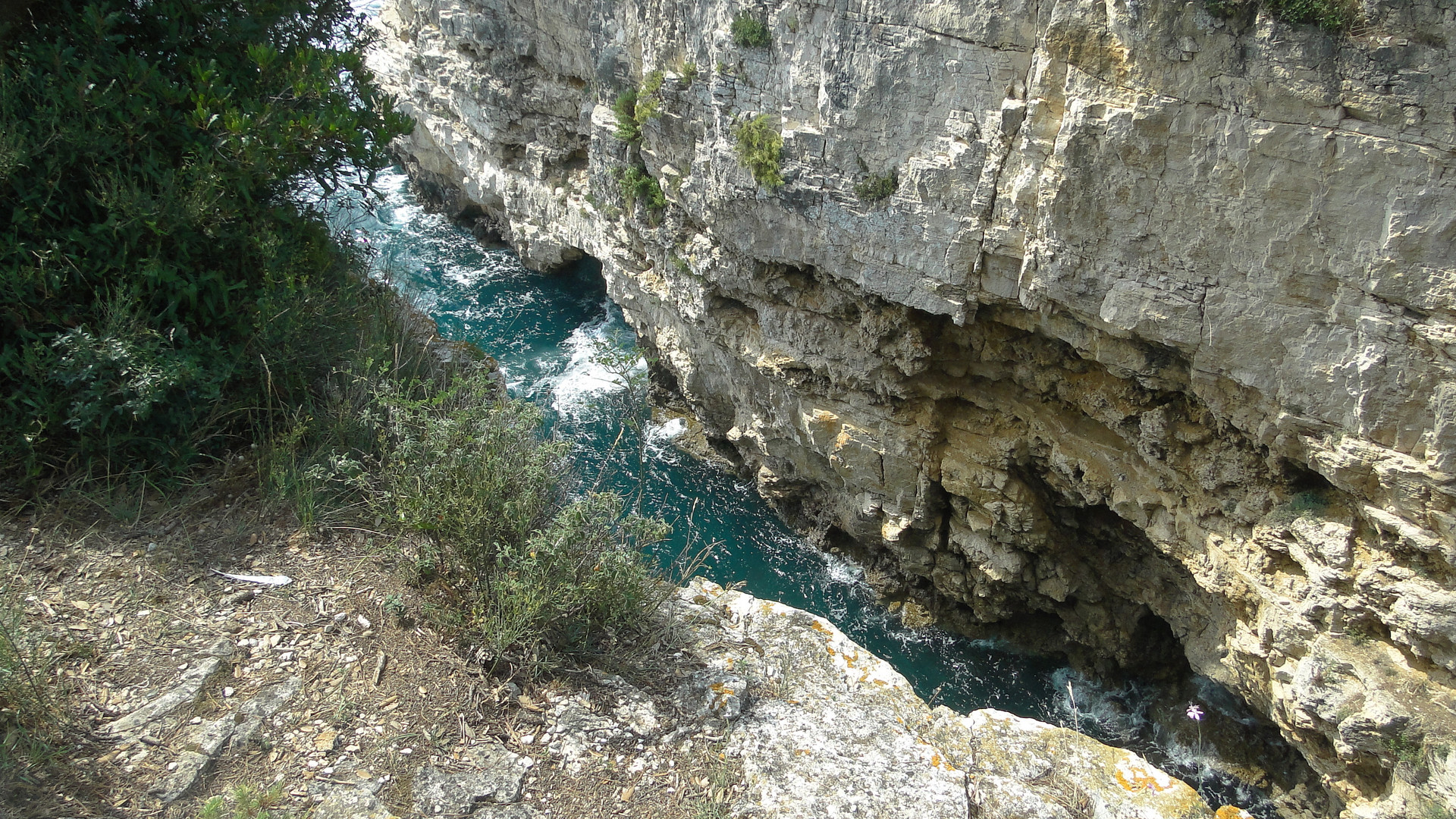 Pola verudela "canyon" 2