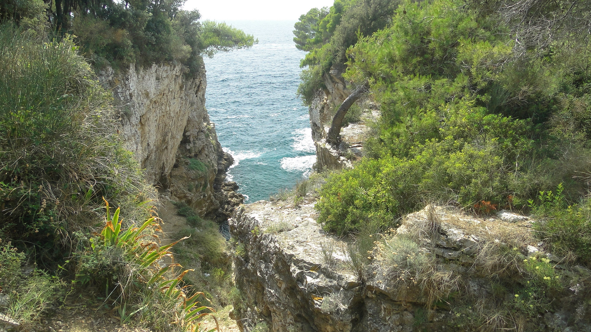 Pola verudela "canyon"