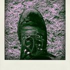 Poladroid der 2.