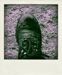 Poladroid der 2.