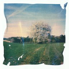 pola[frühling]