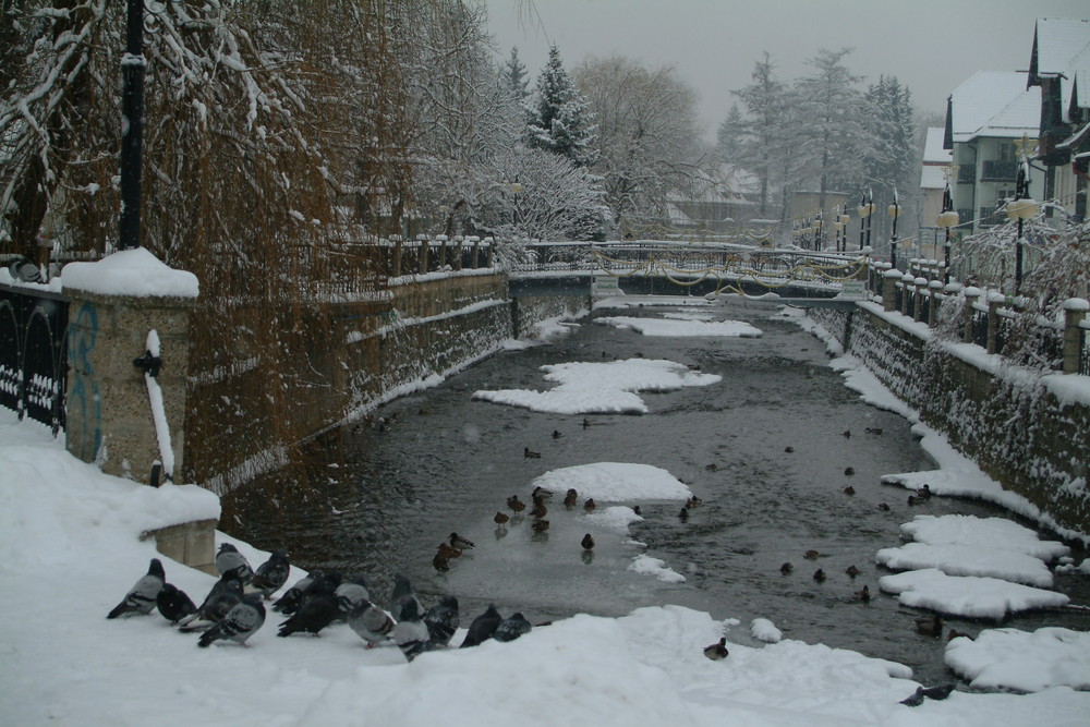 Polanica-Zdroj (Altheide) in dem winterlichen Gewand