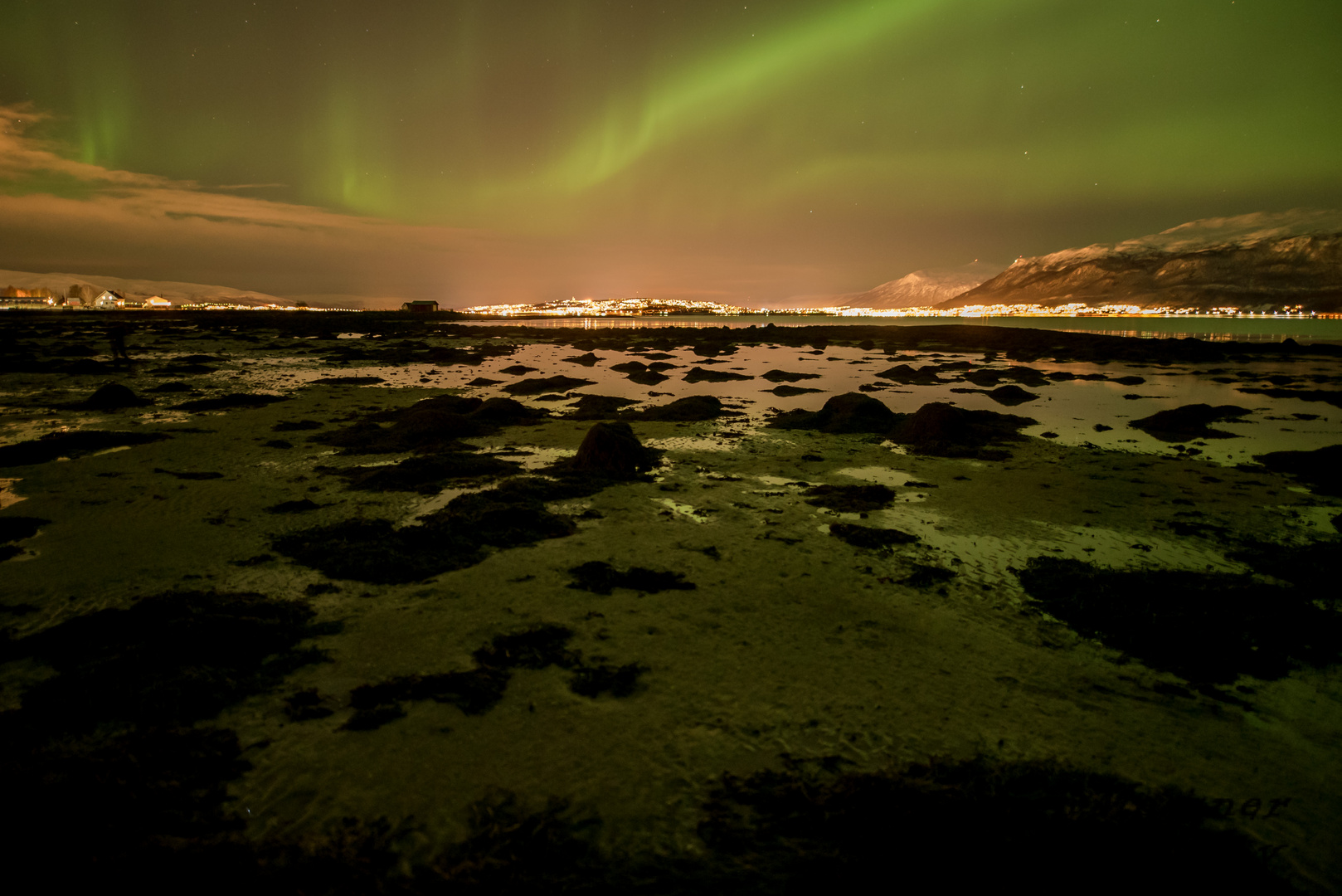 Polar Lights I