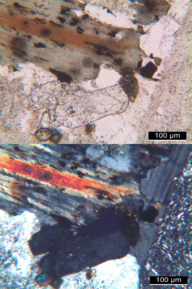 Polarisationsmikroskopie: Alkaligranit aus dem Erzgebirge