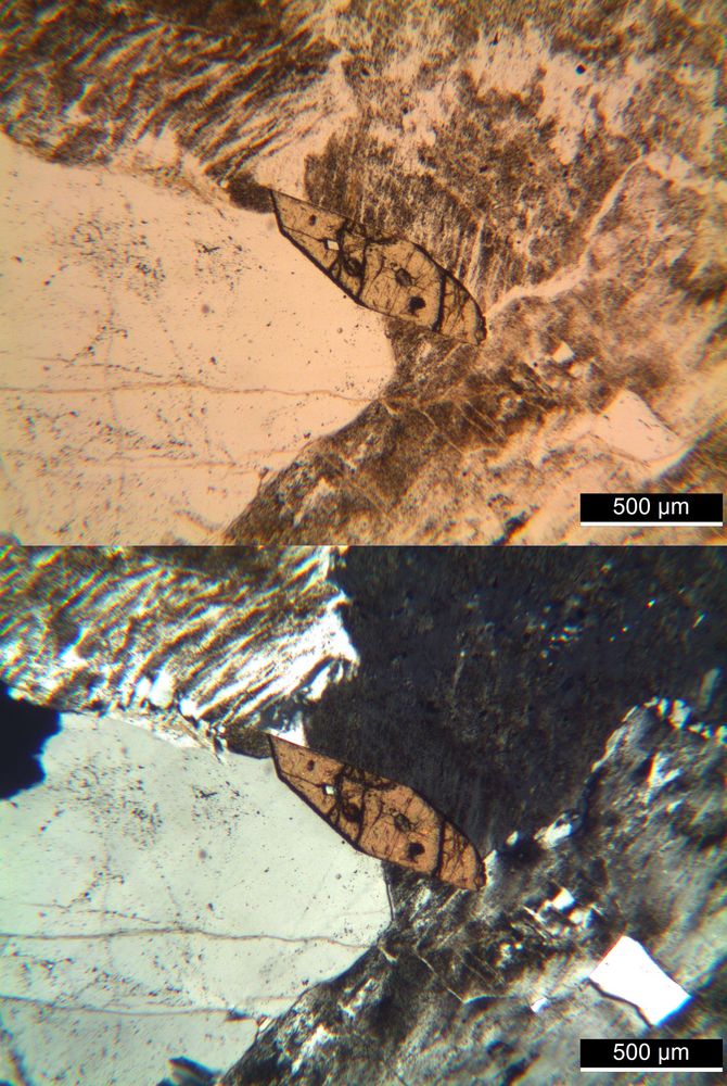 Polarisationsmikroskopie: Alkaligranit aus Süd-Norwegen