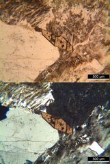 Polarisationsmikroskopie: Alkaligranit aus Süd-Norwegen