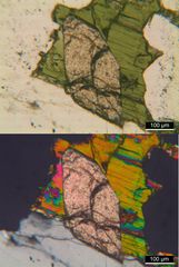 Polarisationsmikroskopie: Alkaligranit aus Süd-Norwegen