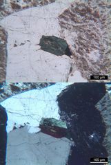 Polarisationsmikroskopie: Alkaligranit aus Süd-Norwegen